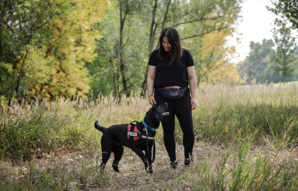 Diabetes Alert Dog Training: YOUR CANINE ALLY IN FIGHTING DIABETES