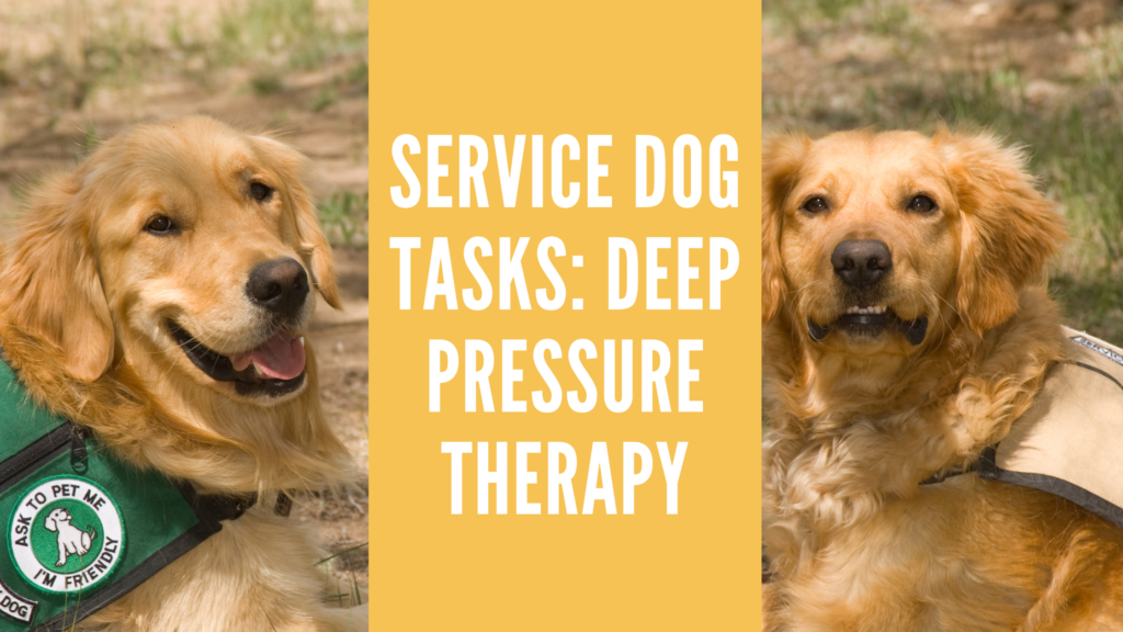 Service dog tasks for anxiety: deep pressure therapy