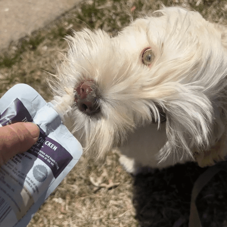 HOW TO MAKE lickable dog treats (DIY)