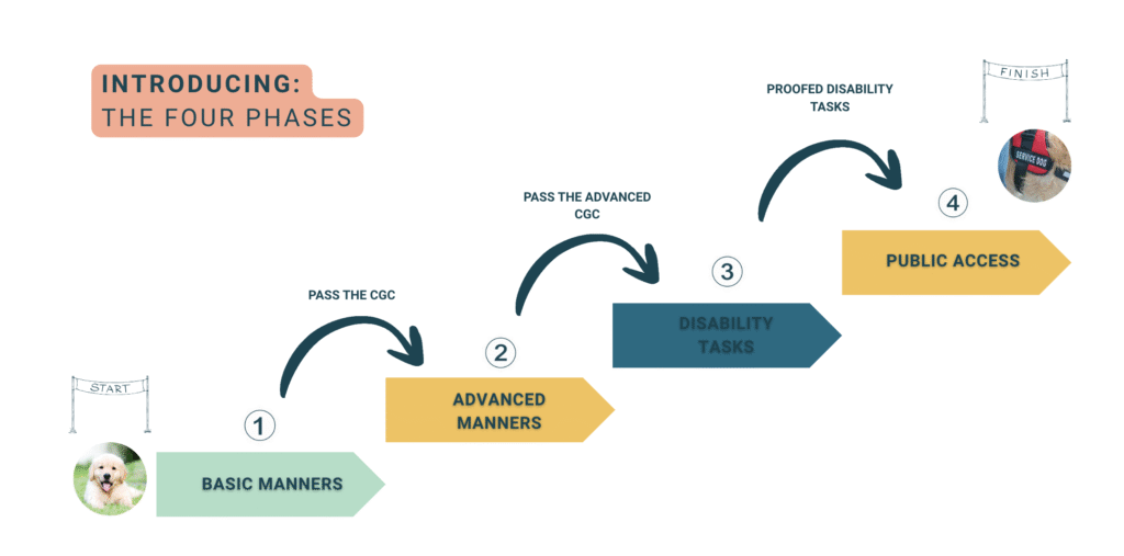 IMage with stepping blocks that show: phase 1 - basic manners phase 2 - advanced manners Phase 3 - disability skills Phase 4 - Public Access Training
